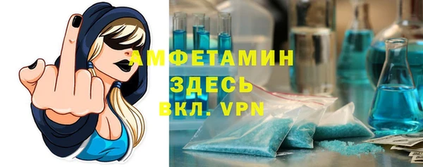 МДПВ Бородино