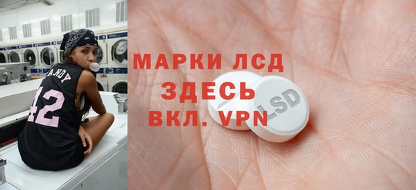 МДПВ Бородино