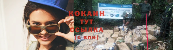 МДПВ Бородино