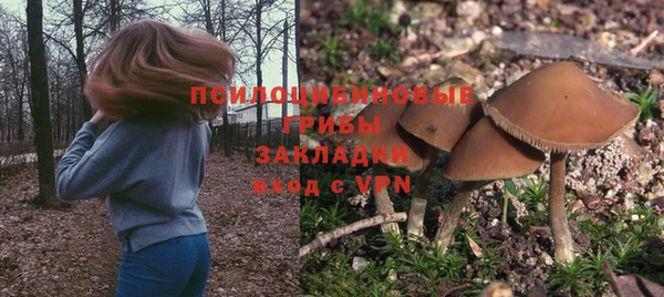 МДПВ Бородино