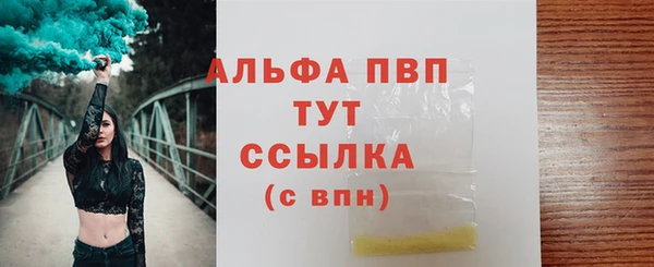 МДПВ Бородино