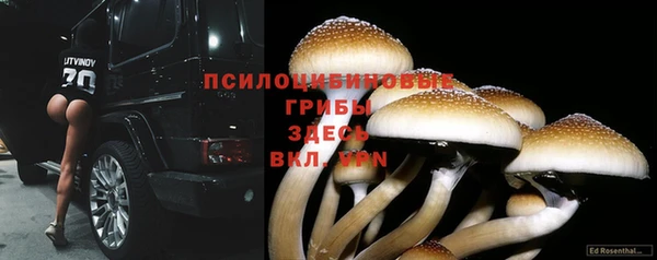бошки Бугульма