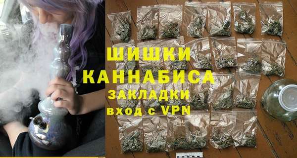 МДПВ Бородино