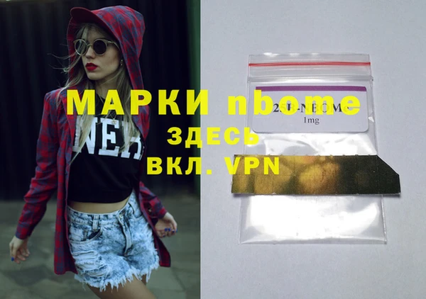 МДПВ Бородино