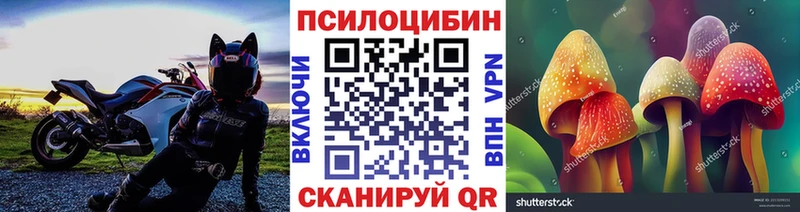 Псилоцибиновые грибы прущие грибы  Бугуруслан 