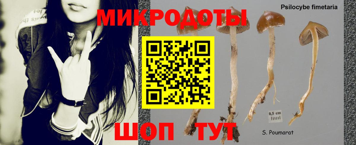 Галлюциногенные грибы MAGIC MUSHROOMS  Галлюциногенные грибы Cubensis  Вход с VPN  купить наркотики сайты  Бугуруслан 